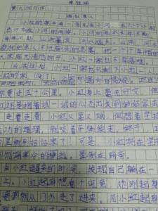 关于追求的作文 有关追求的作文