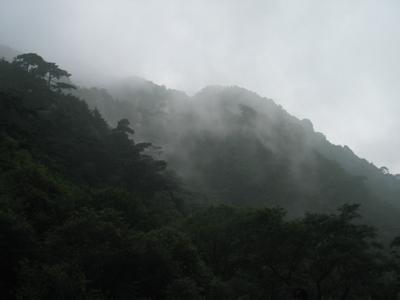 雨中登泰山课文 雨中登泰山