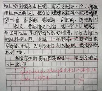 美丽的家乡作文500字 美丽的家乡作文400字