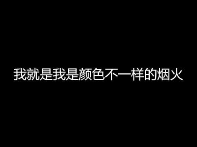 我就是我 不一样的烟火 我就是我，是颜色不一样的烟火