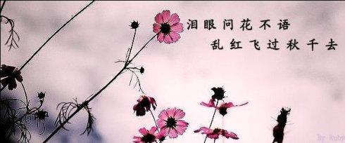 冯延巳泪眼问花花不语 《泪眼问花花不语》