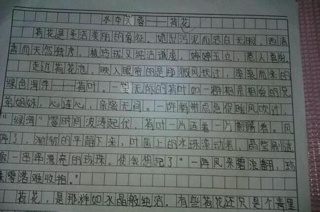 梗概作文200字 梗概作文