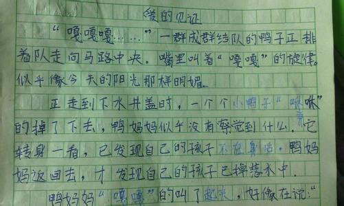 作文题目:老师教我写作文