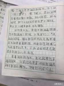 小学生作文我的同学 小学生作文同学之间