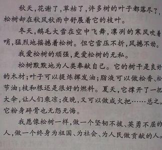 平凡也美丽作文500字 平凡中的美丽作文