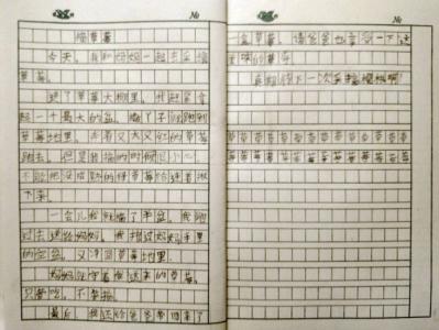 摘草莓作文300字 摘草莓作文