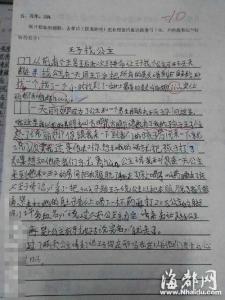 小学生作文,童话故事 小学生作文童话故事