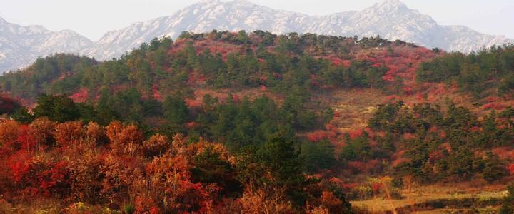 中国旅游资源概况 桐柏山 桐柏山-山系概况，桐柏山-资源概况