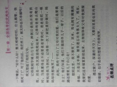 捡拾幸福作文600字 捡拾幸福作文600字（4篇）