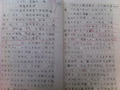 (放假)春游作文100字 春游作文200字