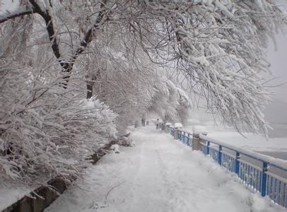 关于踏雪的诗句 踏雪