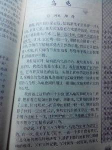 观察小动物的作文300字 观察小动物的作文