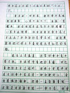 春节新发现作文400字 我的新发现作文400字