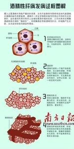 丙型肝炎发病率 急性肝炎 急性肝炎-疾病介绍，急性肝炎-发病原因及分类