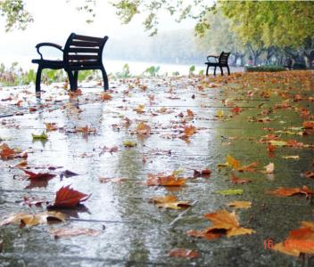 秋雨电影 秋雨