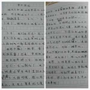 五官作文600字 人的五官作文