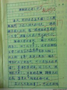 游戏的作文100字 游戏的作文