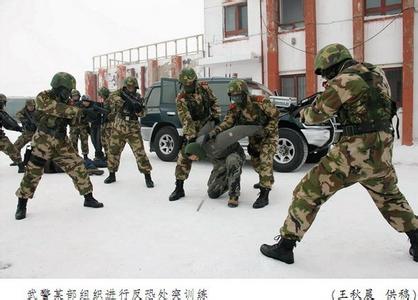 武警编制体制改革 武警 武警-概述，武警-体制编制