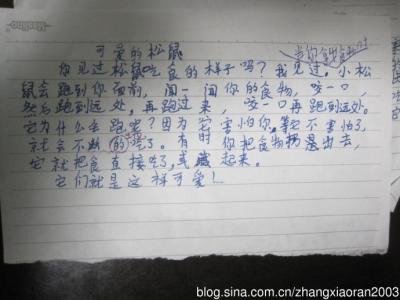 猜猜他是谁作文300字 猜猜他是谁作文