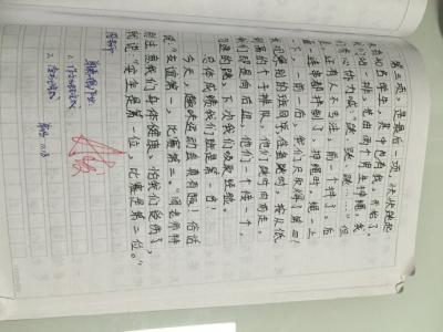 趣味运动会作文500字 趣味运动会作文400字