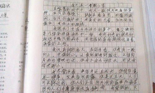 适应作文议论文800字 适应作文