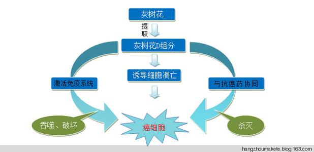 髋关节的组成基本结构 D阻分 D阻分-基本简介，D阻分-结构组成