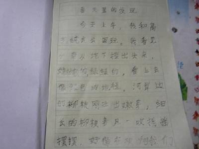 春天里的发现作文400字 春天里的发现作文