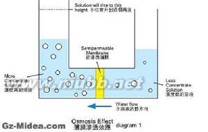 栅栏现象 栅栏现象 栅栏现象-基本介绍，栅栏现象-相关术语