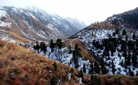 鹧鸪山隧道 鹧鸪山 鹧鸪山-简介，鹧鸪山-隧道