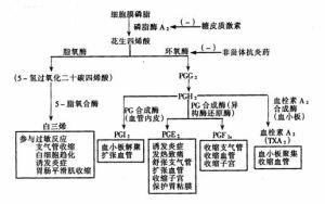 药理作用 利卡汀 利卡汀-性状，利卡汀-药理作用