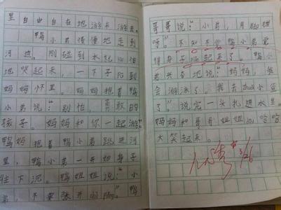 学游泳作文500字 学游泳作文400字