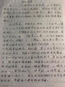 我的愿望作文500字 我的愿望作文500字（5篇）