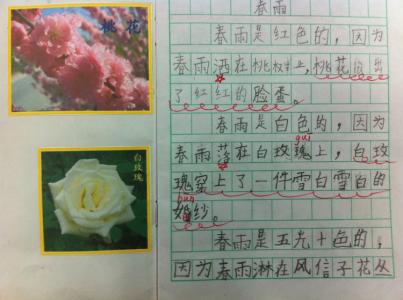 春天的花作文300字 春天的花作文