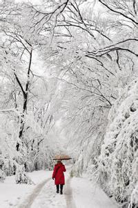 关于雪的诗句 雪