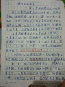 关于读后感的作文500字 关于读后感的作文