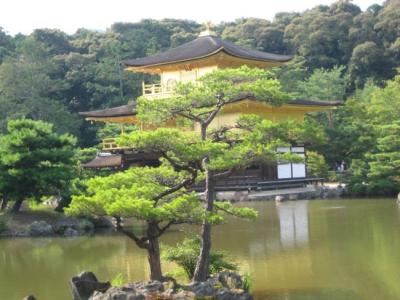 瑶光寺 瑶光 瑶光-词义，瑶光-寺名