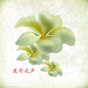 花开无声作文600字 花开无声作文