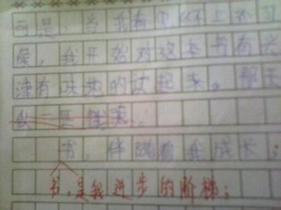 我与书的故事作文600字 我与书的故事作文500字