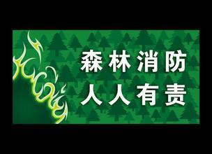 森林防火高中作文800字 森林防火作文800字