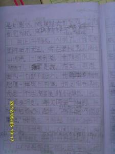 我的一家作文200字 我的一家作文300字