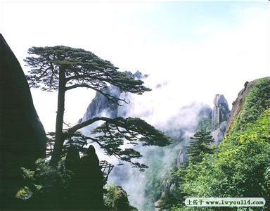 安徽黄山迎客松 迎客松[安徽黄山景观] 迎客松[安徽黄山景观]-地理位置，迎客松[