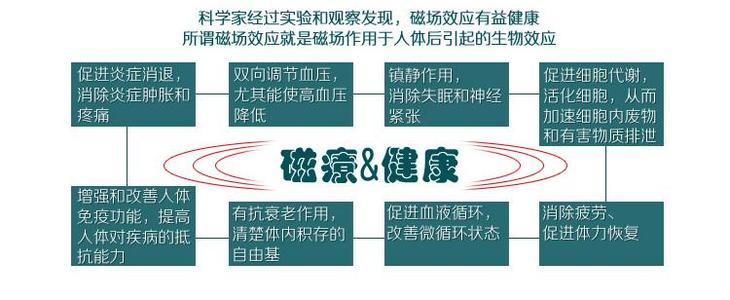 磁疗 磁疗 磁疗-简介，磁疗-缺磁原因