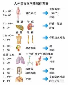 睡美容觉的最佳时间 美容觉 美容觉-概述，美容觉-最佳时刻表