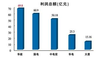 五大发电集团 五大发电集团 五大发电集团-概述，五大发电集团-发展