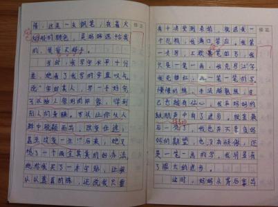 收藏快乐作文800字 我的收藏作文800字