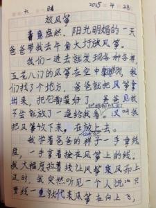 写放风筝的作文300字 写放风筝的作文