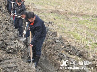 盖网回报qdcaijing 生育是一种「义务劳动」吗？对此做出回报正常吗？