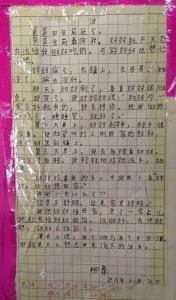 师生之间作文800字 师生之间作文600字