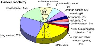 morbidity mortality