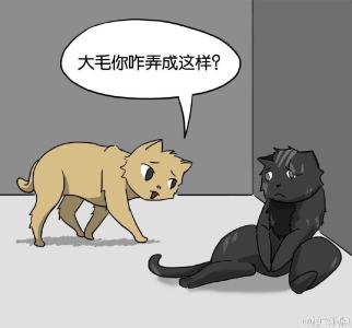 脑洞我最大 你看过脑洞最大的故事是什么？